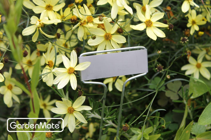 GardenMate® 25er Set Pflanzschilder Banner aus Metall, Banner