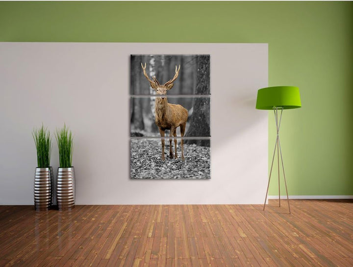Pixxprint Schöner Hirsch im Wald Schwarz/Weiss 3-Teiler Leinwandbild 120x80 Bild auf Leinwand