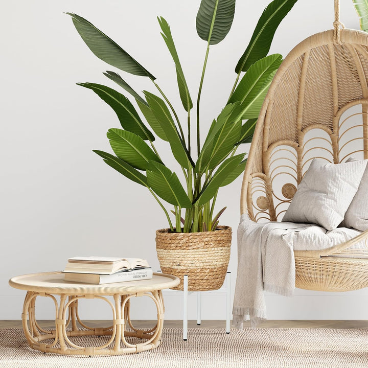 Relaxdays Pflanzenständer 2er Set, verstellbare Breite, BxT: 26x26-37x37 cm, Metall Blumentopfgestel