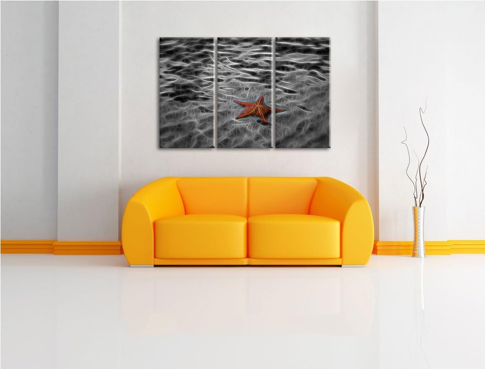 schöner Seestern im klaren Wasser schwarz/weiss Spezial 3-Teiler Leinwandbild 120x80 Bild auf Leinwa