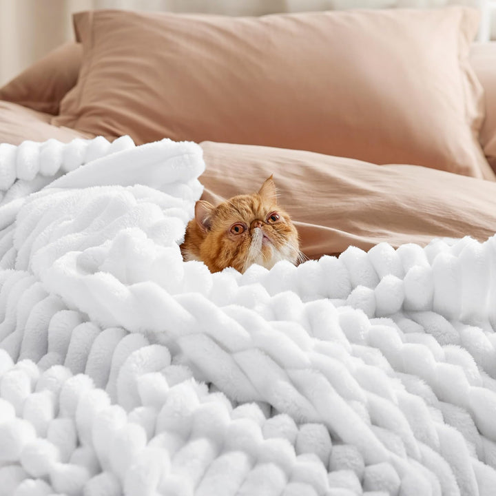 BEDSURE kuscheldecke 220x240 für Zimmer Deko - Tagesdecke, Wolldecke & Fleecedecke, Sofadecke, Weich