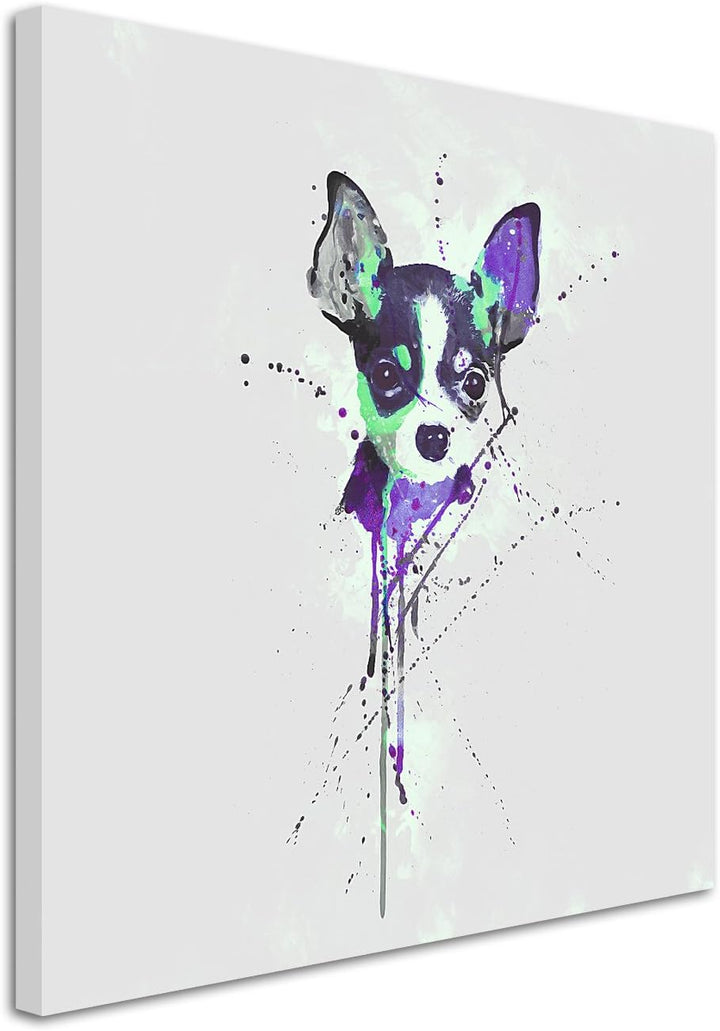 Paul Sinus Art Chihuahua 60x60cm Keilrahmenbild Kunstbild Aquarell Art Wandbild auf Leinwand fertig