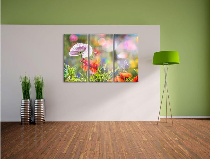 Pixxprint Kalifornischer Mohn im Frühling / 3-Teilig/Gesamtmass 120cm Leinwandbild bespannt auf Holz