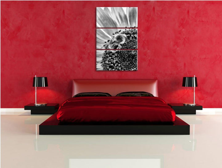 Pixxprint Monocrome, Biene auf Sonnenblume 3-Teiler Leinwandbild 120x80 Bild auf Leinwand