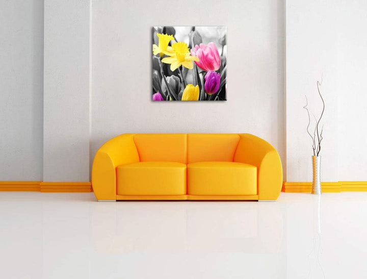 Pixxprint schöne Narzissen mit Tulpen schwarz/weiss, Format: 70x70 auf Leinwand, 70x70