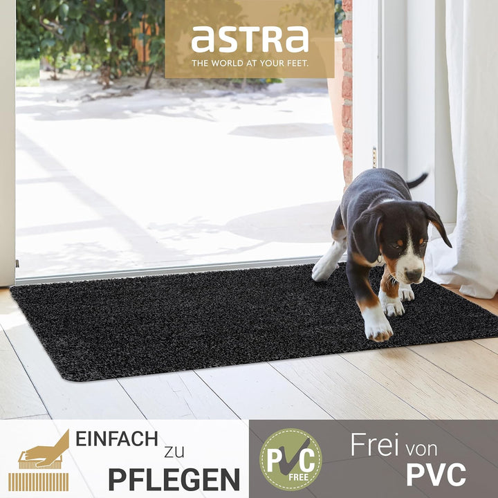 Astra Fussmatte innen rutschfest - nachhaltige Schmutzfangmatte waschbar bei 30°C - Türmatte PVC-FRE