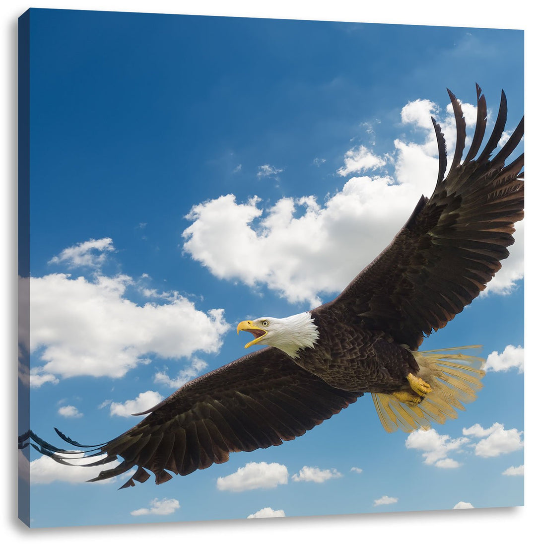 Pixxprint Adler fliegt über Schneebedeckte Berge, Format: 70x70 auf Leinwand, 70x70