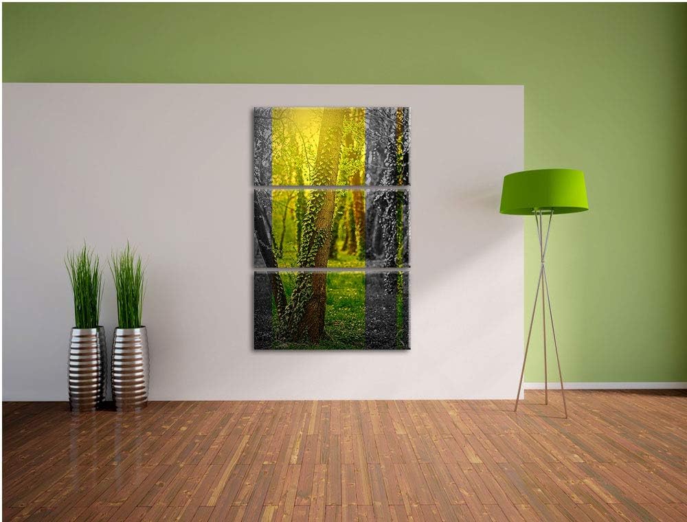 Efeuranken wachsen an Bäumen schwarz/weiss 3-Teiler Leinwandbild 120x80 Bild auf Leinwand, XXL riesi
