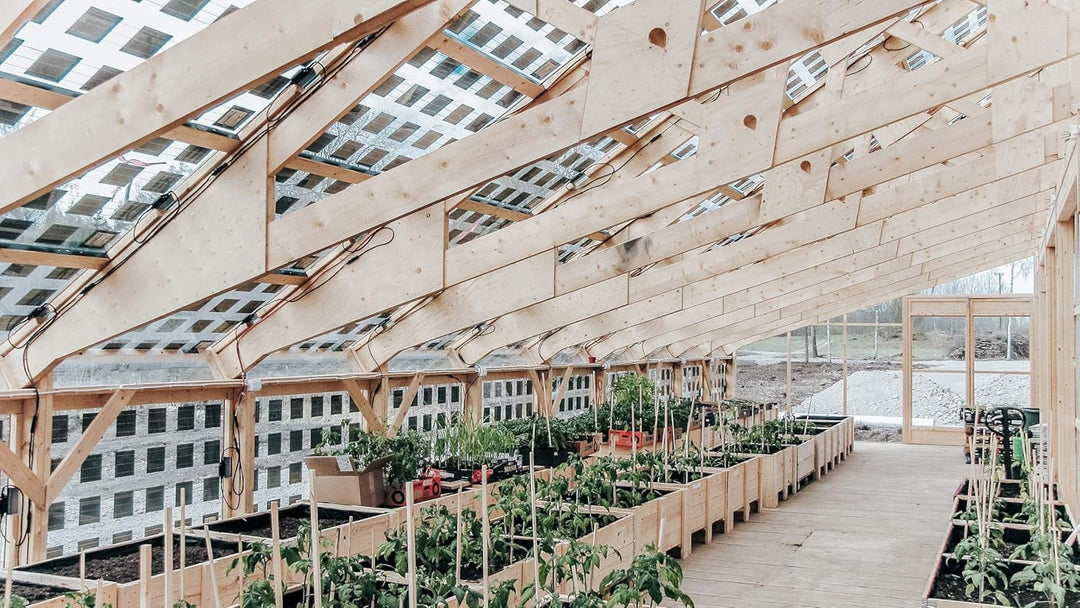SoliTek Solarmodul Solid Agro 290W – Für Landwirtschaft & Gewerbe, Verringert den Wasserbedarf von P