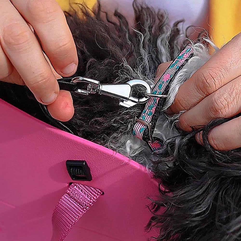 Ferplast Hundetragetasche für kleine Hunde und Katzen WITH-ME SMALL, Transporttasche für Haustiere,