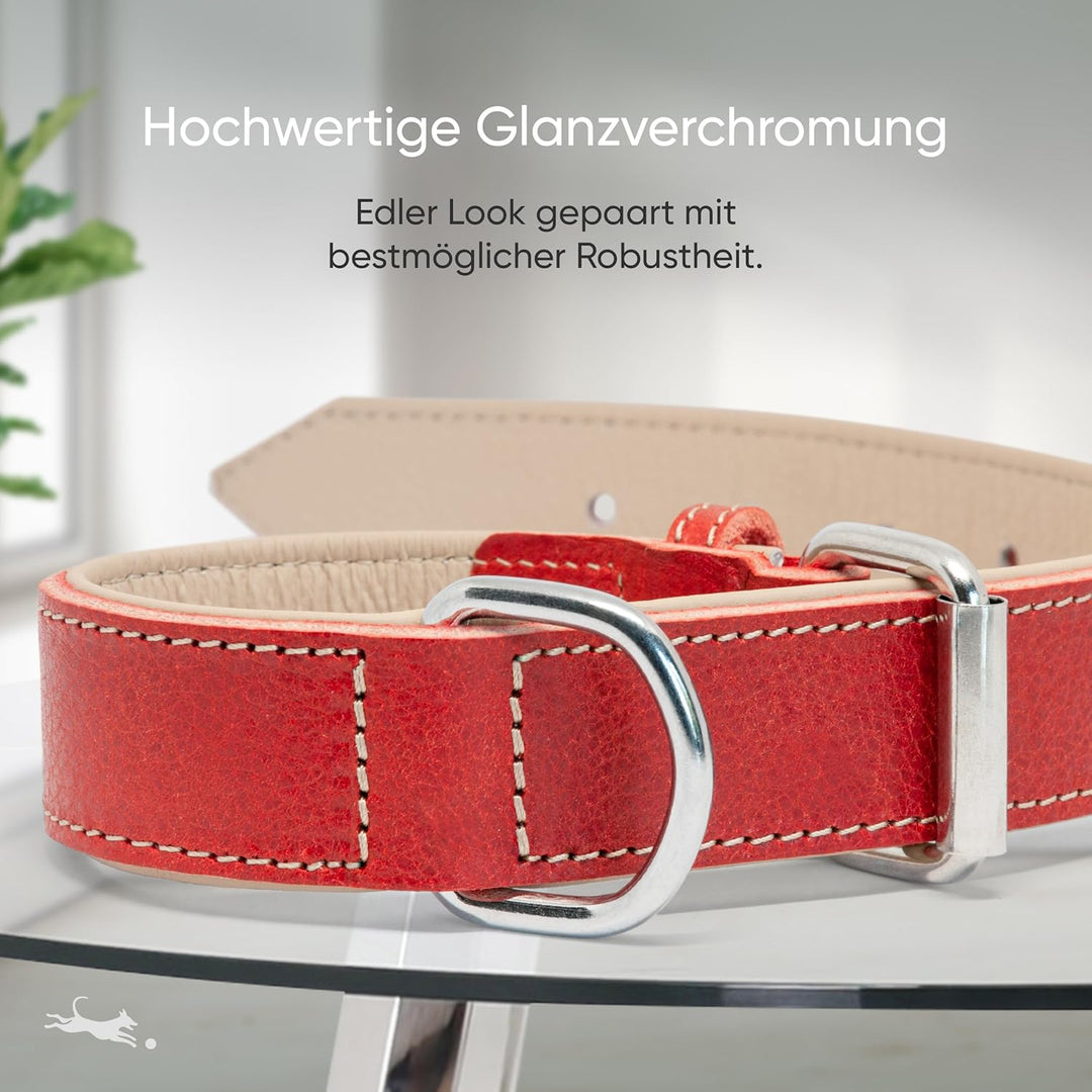 FREUDENTIER® Hundehalsband Leder, gefüttert & komfortabel, hochwertiges breites Lederhalsband aus Vo