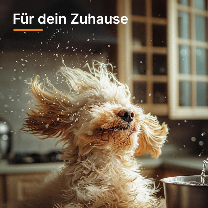 THOMAS CYCLOON HYBRID PET & Friends, beutelloser Bodenstaubsauger, 1700 Watt