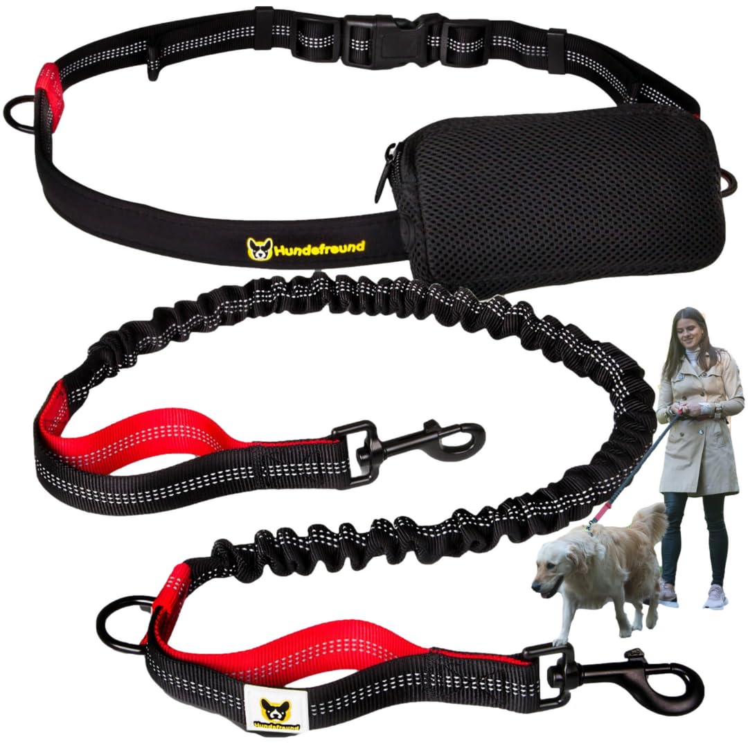 Joggingleine | Premium Hundeleine 120cm Bis 170cm | Elastisch Reflektierend Reissfest Gepolsterter B