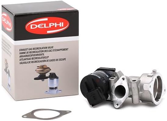 Delphi EG10395-12B1 Agr-Ventil