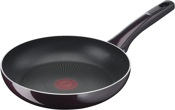Tefal D52202 Resist Intense Bratpfanne 20 cm | Antihaftversiegelung | Flame Protect | widerstandsfäh