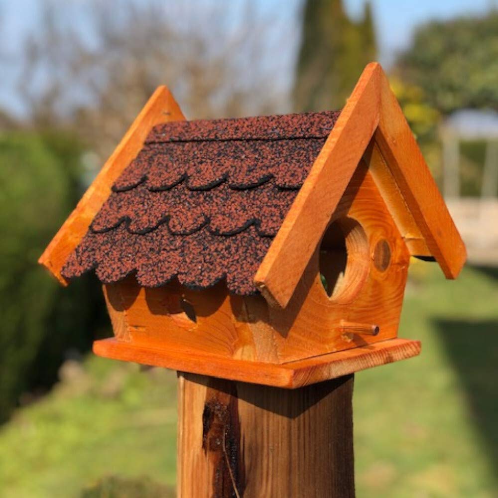 DARLUX Eichhörnchen Futterhaus wetterfest und stabile, Handmade aus eigener Produktion, Futterstatio
