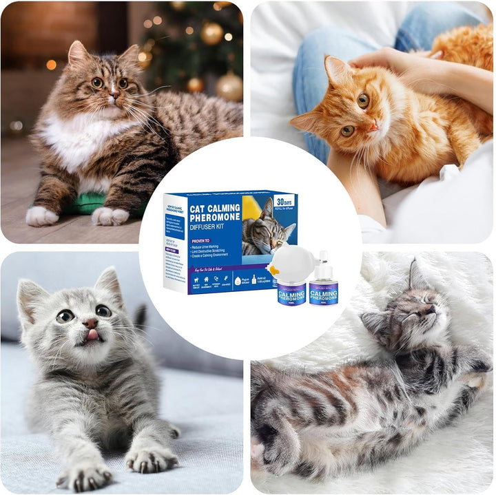 Katzenpheromon -Diffusor, Katze beruhigend Diffusor - Anti-Aggression-Diffusor - 60 lang anhaltende