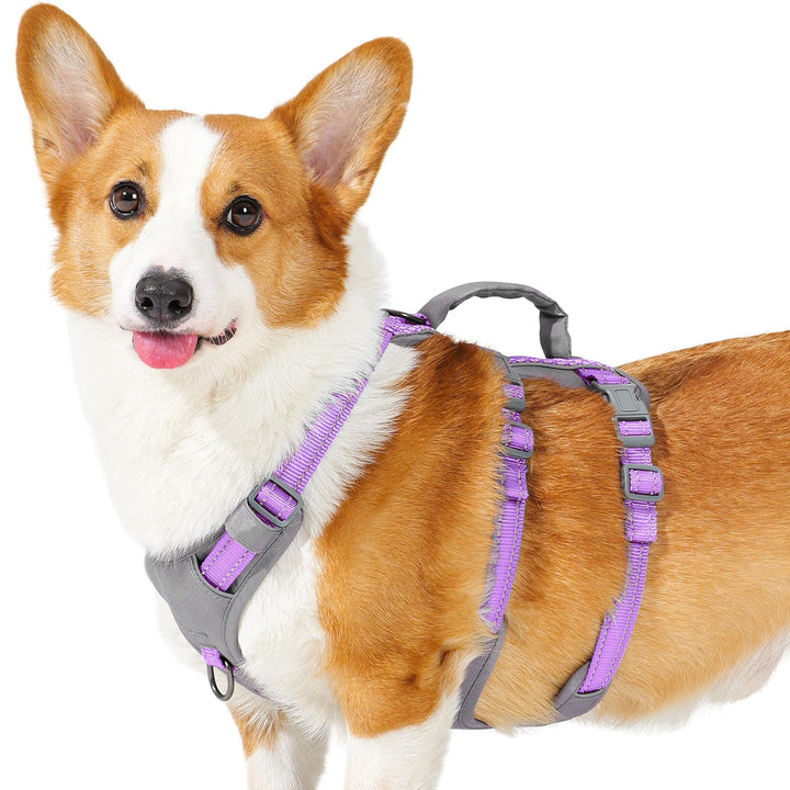 Huntboo Sicherheitsgeschirr Hund Ausbruchsicher, Panikgeschirr für Hunde, Reflektierendes Geschirr H