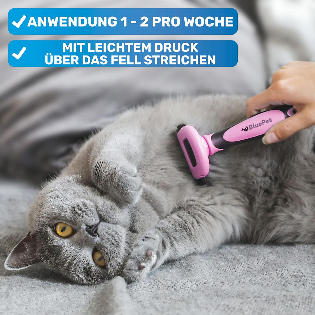 BluePet Katzenbürste & Hundebürste Kurzhaar zum Entfernen von losem Fell & Unterwolle I Bis zu 90% w