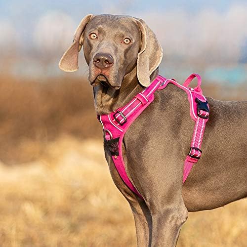 Truelove No Pull Hundegeschirr, reflektierendes Hundegeschirr für Hunde, verstellbare weich gepolste