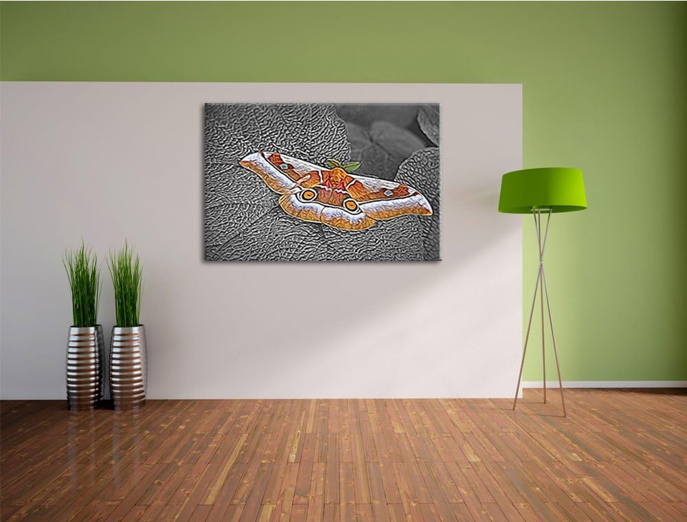 eleganter Schmetterling auf Blatt schwarz/weiss Deluxe Format: 100x70 cm auf Leinwand, XXL riesige B
