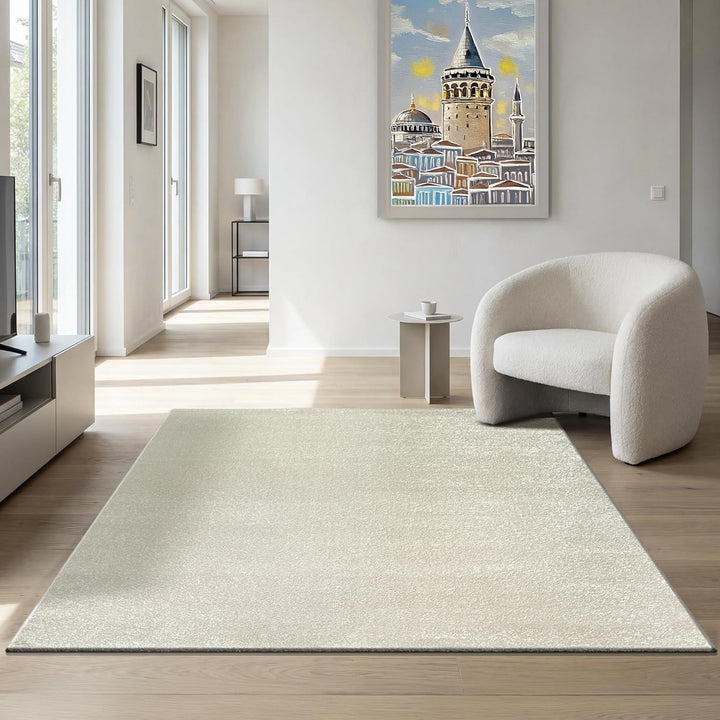 SANAT Kurzflor Teppich Wohnzimmer - Uni Modern Teppiche fürs Schlafzimmer, Arbeitszimmer, Büro, Flur