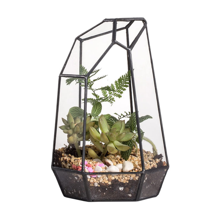 NCYP 10x12,5x19cm Handgefertigtes unregelmässiges Prisma-Glas geometrische Terrarienbox, für Tischpl