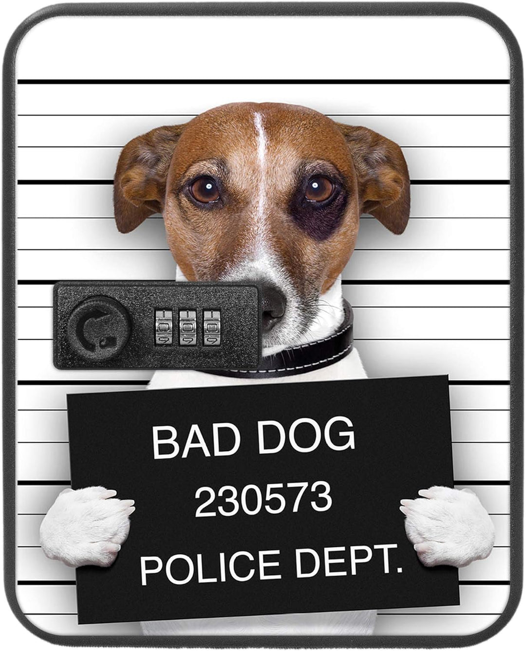 banjado® Burg-Wächter® abschliessbarer Schlüsselkasten mit Motiv Bad Dog J. Russel für 20 Schlüssel