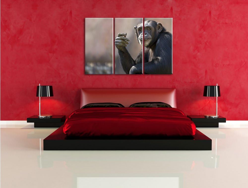 Pixxprint Aufmerksamer Schimpanse als Leinwandbild | Grösse: 3 Teilig (120x80) | Wandbild| Kunstdruc