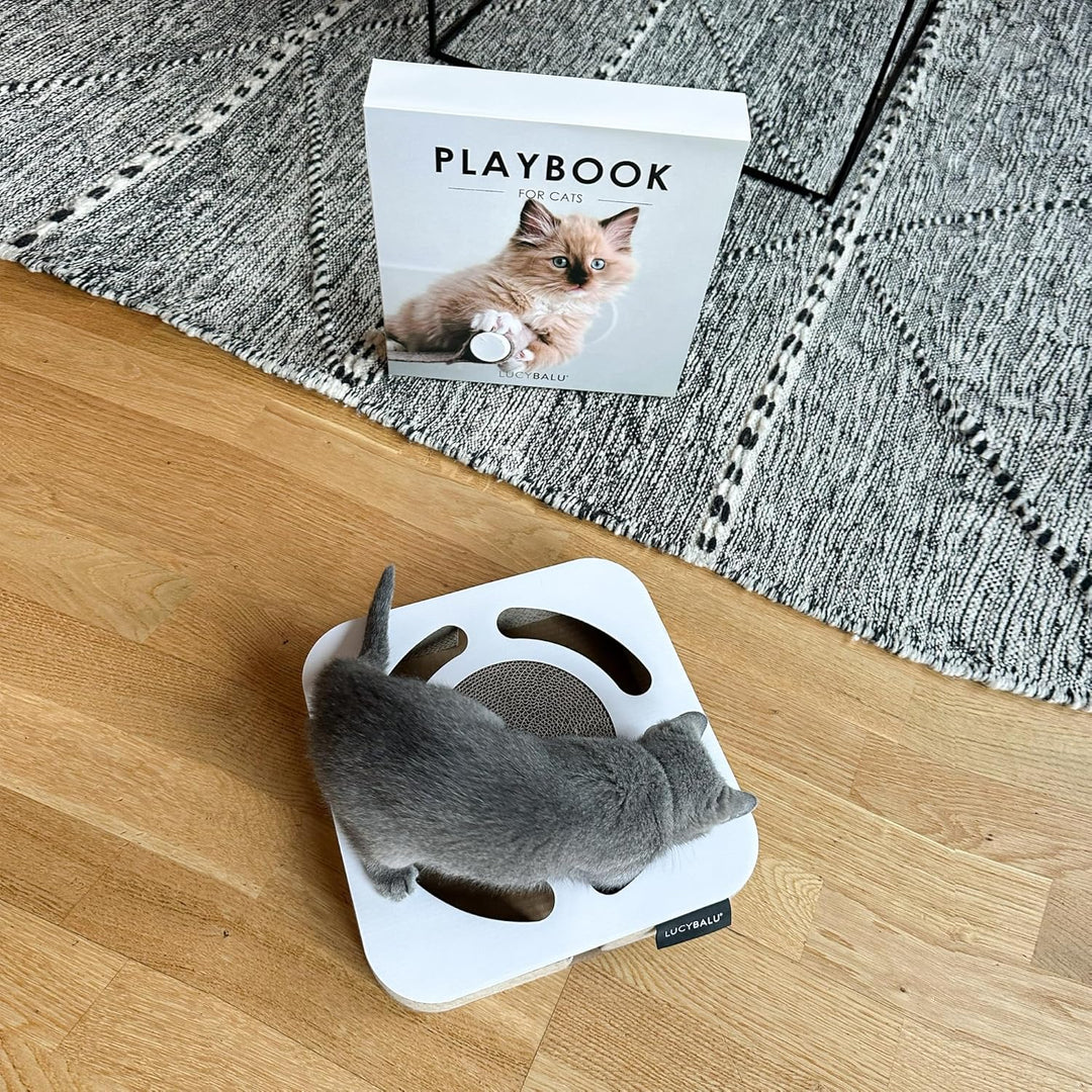 LucyBalu® Playbook Katzen Kratzbrett mit Ball | Fummelbrett | Katzenspielsachen aus Kratzpappe | Int