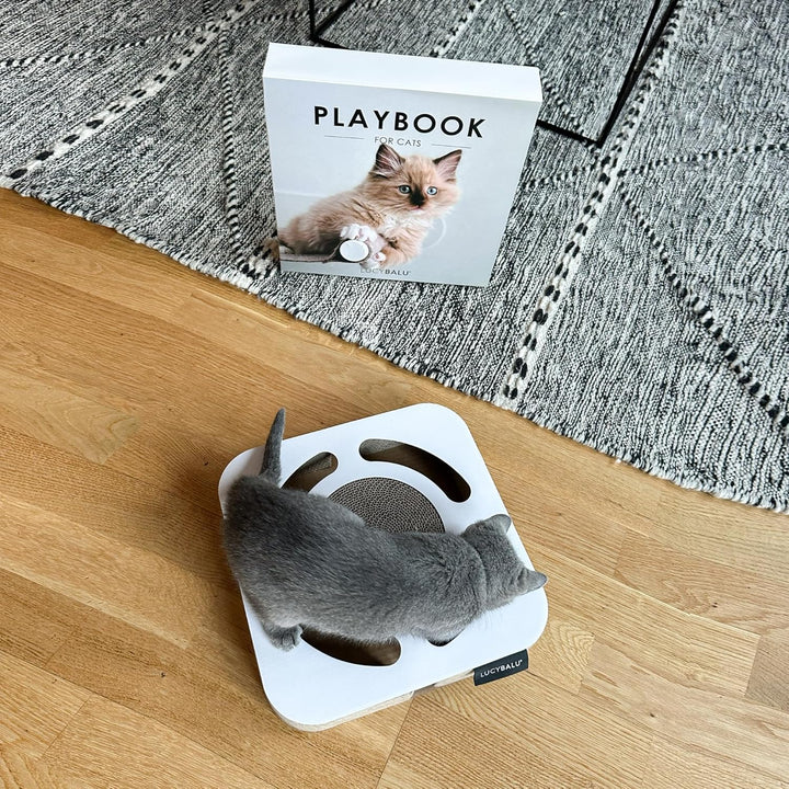 LucyBalu® Playbook Katzen Kratzbrett mit Ball | Fummelbrett | Katzenspielsachen aus Kratzpappe | Int