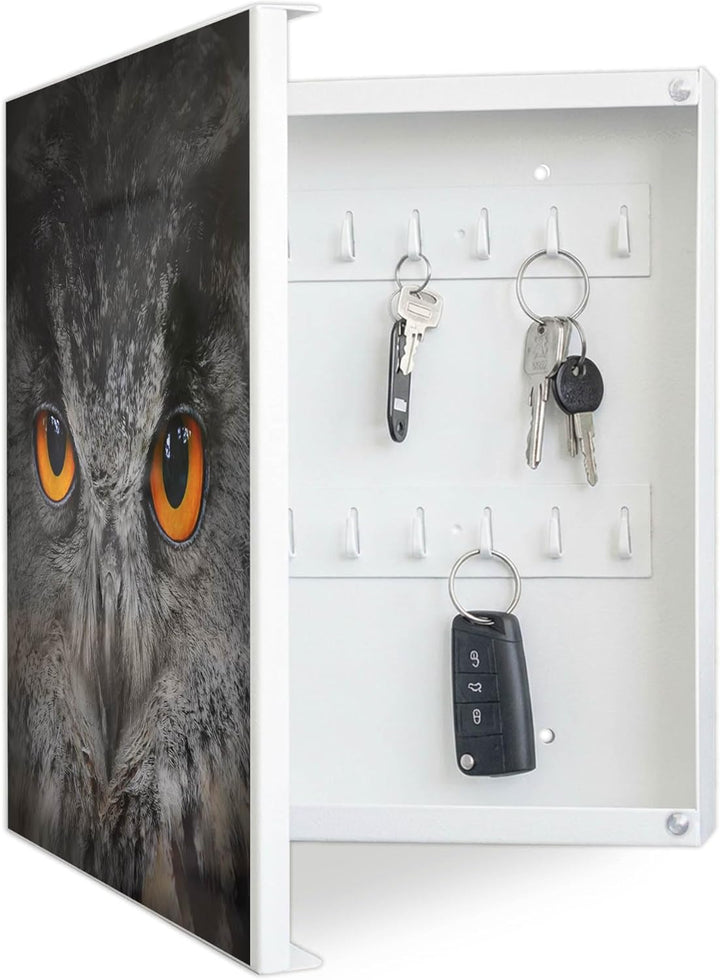 banjado® Grosser Schlüsselkasten Glas/Schlüsselbox 30cm x 30cm mit 50 Haken - Motiv Uhu/Schlüsselkas