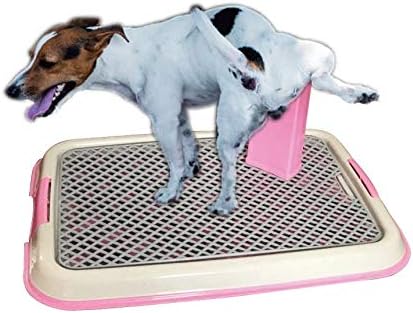 BPS Toilette für Haustiere, Hundeklo, Kunststoff, 2 Grössen M/L, Farbe zufällig M: 49 x 36 x 3 cm, M
