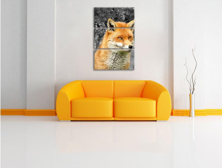 Pixxprint stolzer Fuchs im Geäst als Leinwandbild/Grösse: 3 Teilig (120x80) / Wandbild/Kunstdruck/fe