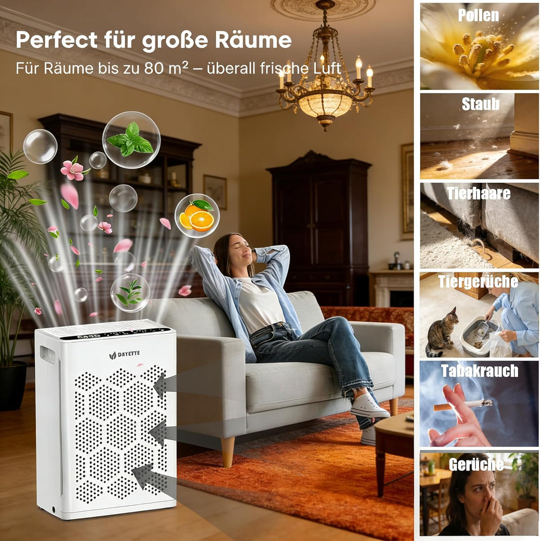 Luftreiniger für Allergiker, mit H14 HEPA Filtern & Waschbarem Vorfilter, CADR 250 m³/h, 3-stufiges