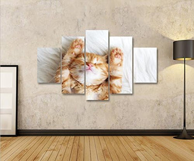 islandburner Bild Bilder auf Leinwand Growler Katze Kater Kätzchen MF XXL Poster Leinwandbild Wandbi