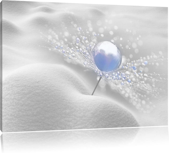 Pixxprint Tautropfen Pusteblume / 100x70cm Leinwandbild bespannt auf Holzrahmen/Wandbild Kunstdruck