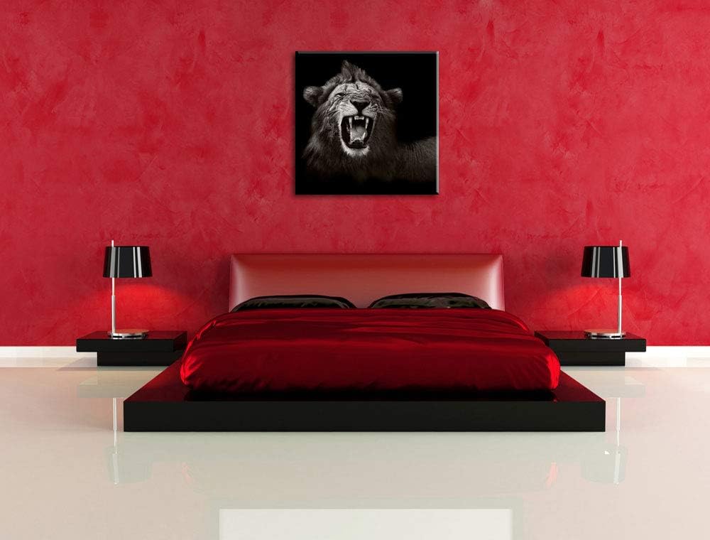 Pixxprint Dark Brüllender Löwe als Leinwandbild/Grösse: 70x70 cm/Wandbild/Kunstdruck/fertig bespannt