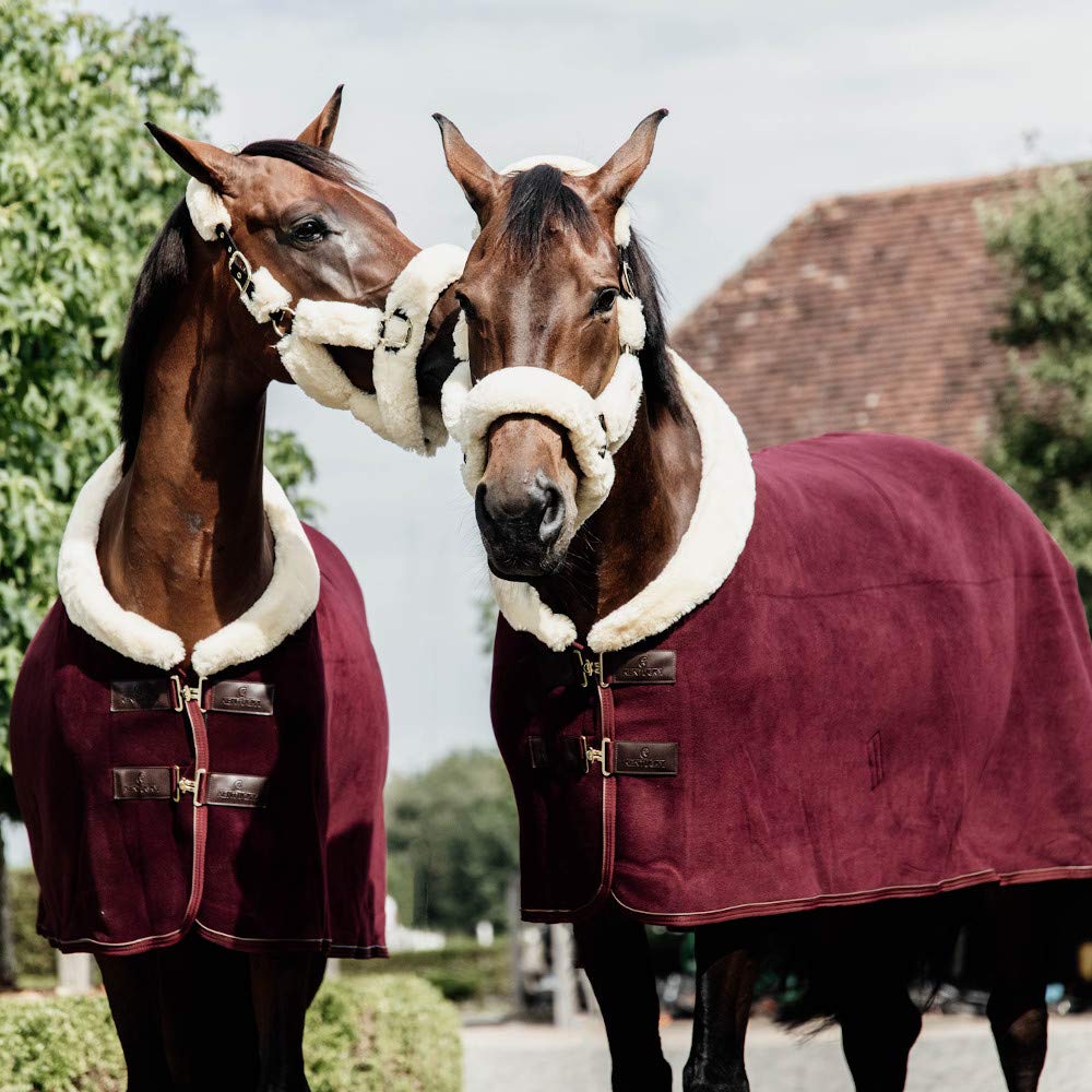 Kentucky Abschwitzdecke Show Heavy Grösse 145, Farbe Bordeaux 145 bordeaux, 145 bordeaux