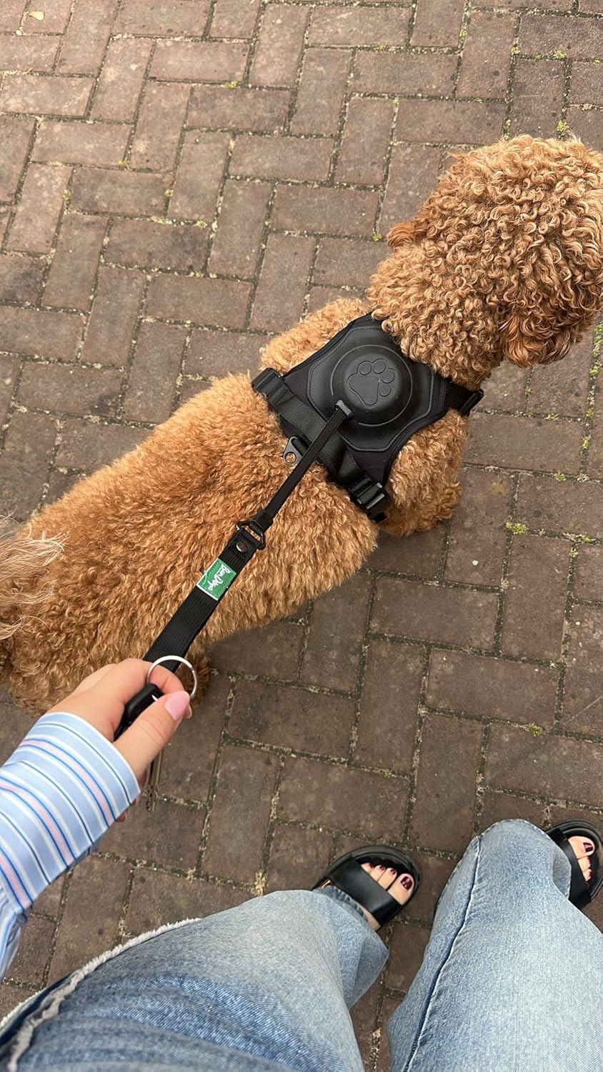 2-in-1 Hundegeschirr mit integrierter Leine – Innovatives Auto-Lock System für mehr Sicherheit &amp; Kom
