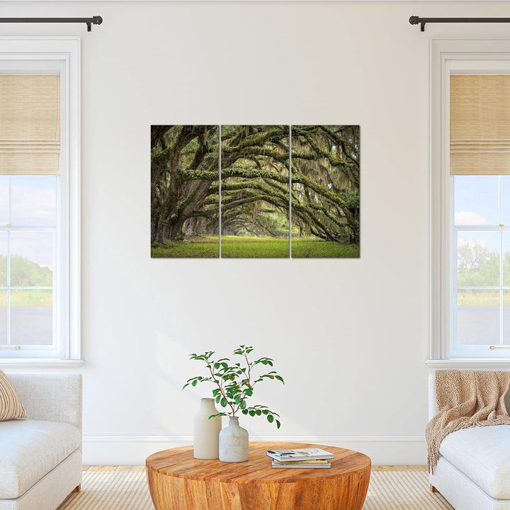 Runa Art Wandbilder Wald Landschaft Bild XXL Schlafzimmer Wohnzimmer Grün Natur 120 x 80 cm 3 Teilig