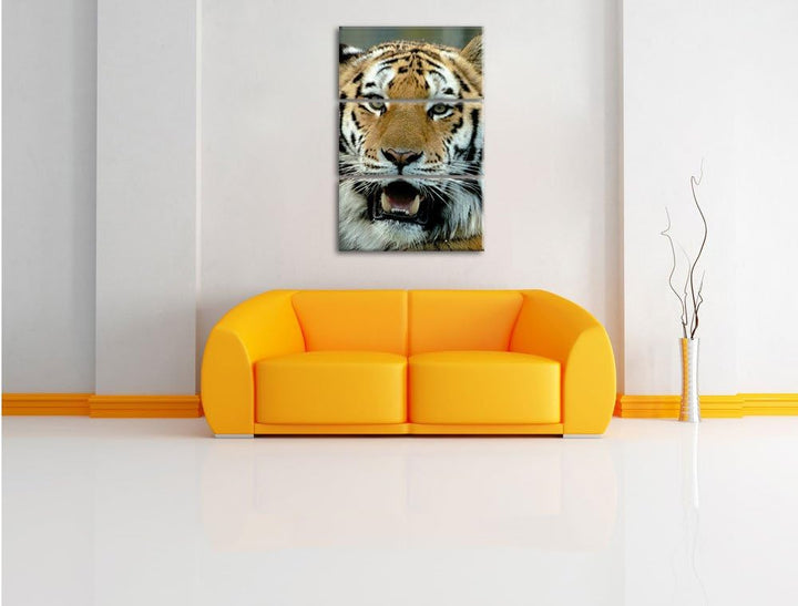 Pixxprint Tiger mit offenem Maul 3-Teiler Leinwandbild 120x80 Bild auf Leinwand