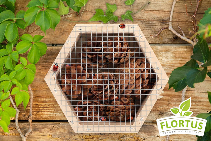 FLORTUS Insektenhotel Marienkäfer | naturbelassenes Marienkäferhaus 15 x 13 x 6 cm | Ladybug Haus fü