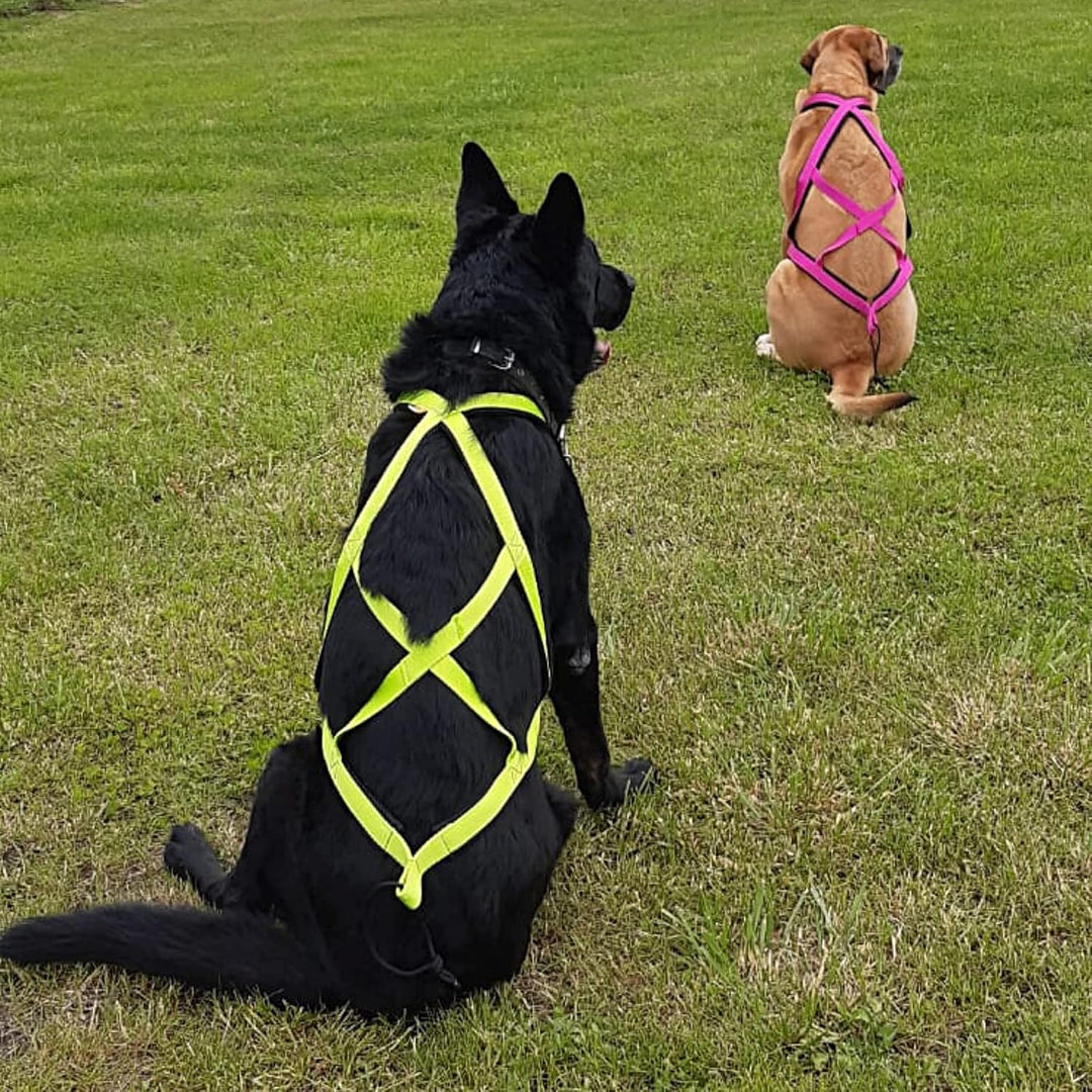 Dingo Hundegeschirre Sled Farbe Grün Zuggeschirr Canicross Bike-Ski-Jöring Training Dogtrekking Gros