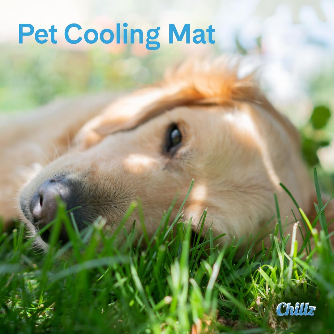 Umarmungen Pet Products chillz Pad Komfort Cooling Gel Pet Pad mittel blau, mittel blau