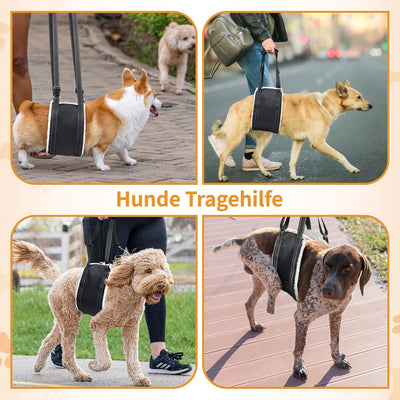 Hundegeschirr Hunde Tragehilfe Einstellbar Gehhilfe Hund Treppe Hund Hinten Lift Support Geschirr Kl