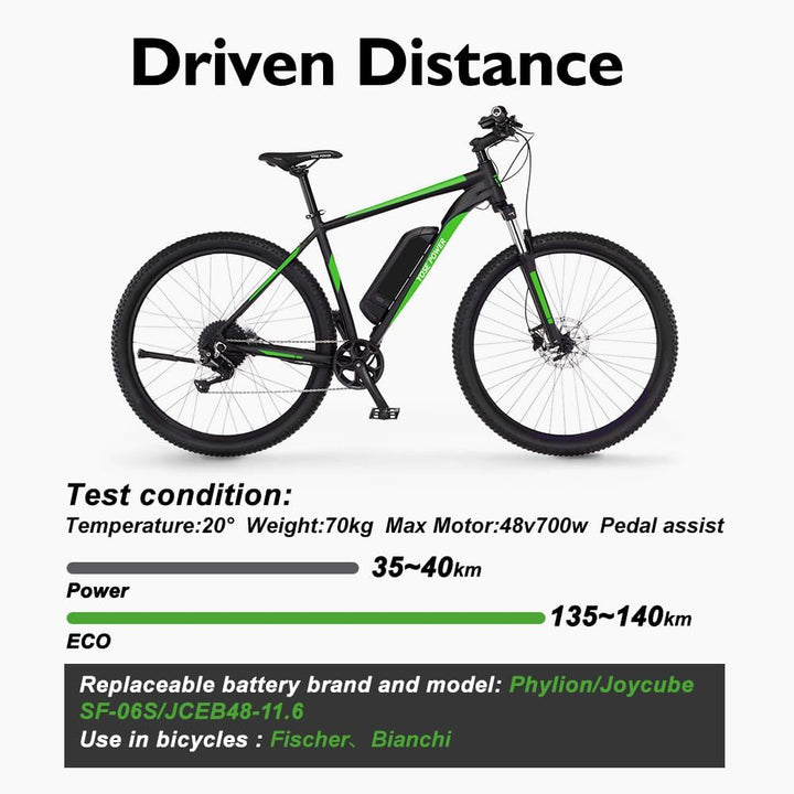 E-Bike 48V 11,6Ah Li-ion Batterie mit Ladegerät Phylion Akku SF-06S JCEB480-11.6 für 250W-800W E-Bik