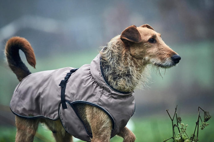 HUNTER UPPSALA Hundemantel, wasserabweisend, reflektierend, 75, taupe taupe 75, taupe 75