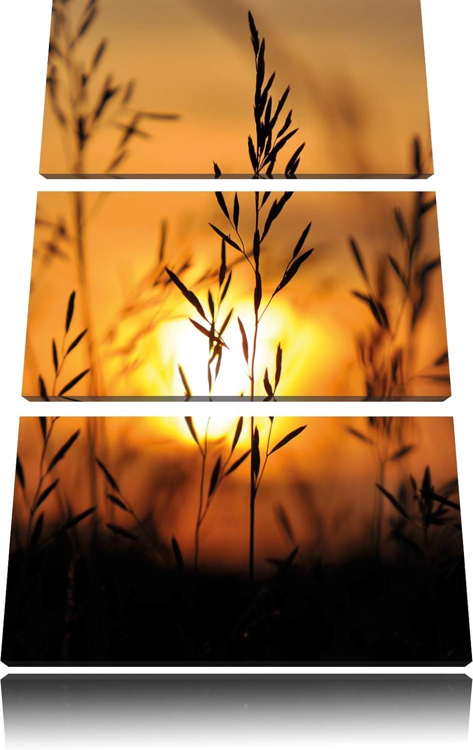Pixxprint Gras bei Sonnenuntergang 3-Teiler Leinwandbild 120x80 Bild auf Leinwand