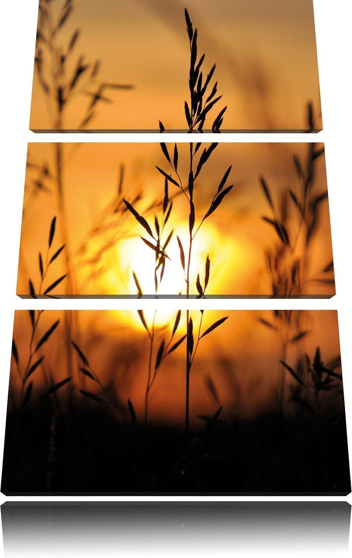 Pixxprint Gras bei Sonnenuntergang 3-Teiler Leinwandbild 120x80 Bild auf Leinwand